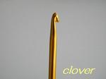clovername.JPG